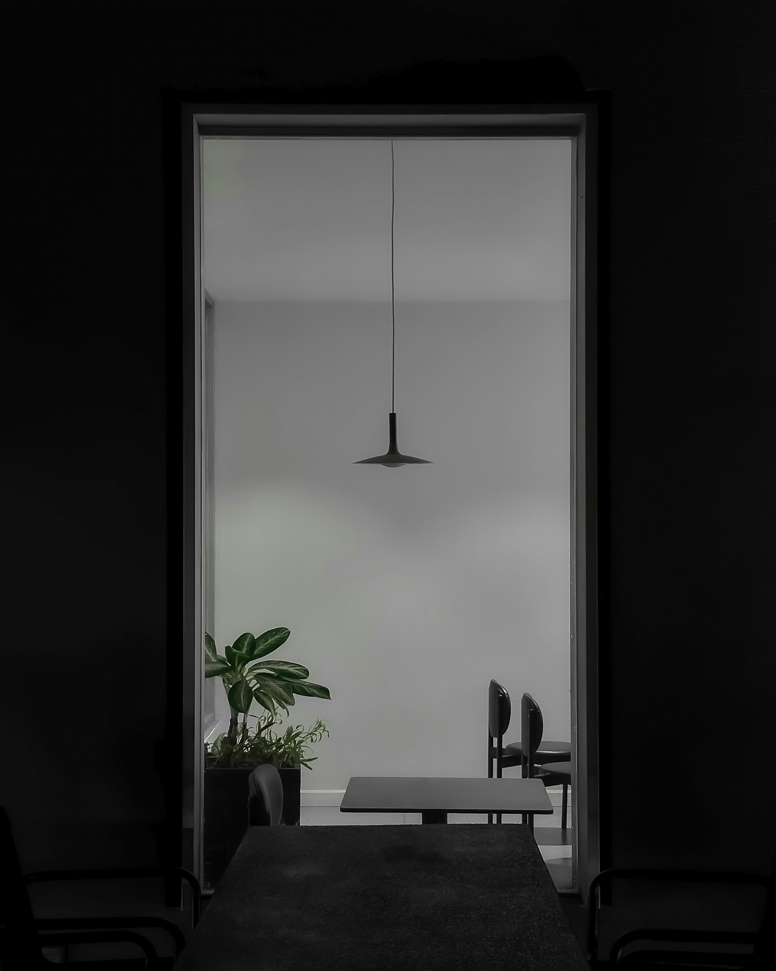 Studio Gray